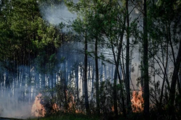 Incendie de forêt à Le Tuzan, le 27 juillet 2020 en Gironde