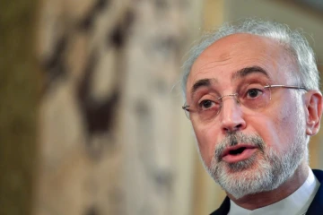 Le vice-président iranien Ali Akbar Salehi à Rome, le 10 octobre 2017