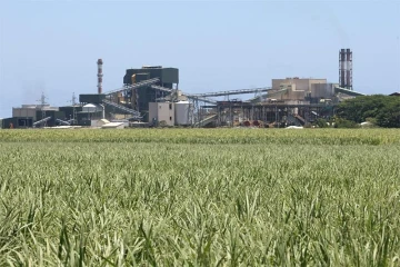 Usine sucrière de  Bois Rouge