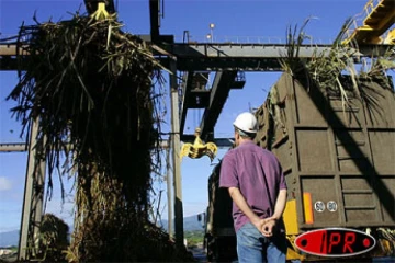 Les agriculteurs demandent une baisse de 30%