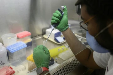 Test de détection de la polio dans un laboratoire du Queens, à New York, le 25 août 2022