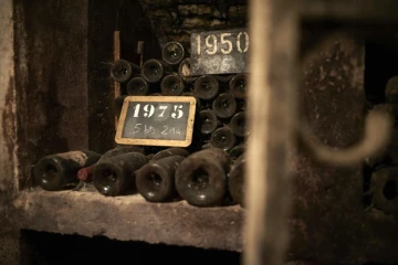 Le cellier du domaine des Lambrays à Morey-Saint-Denis en Bourgogne