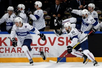 Les joueurs français exultent après leur victoire face à la Suisse au Mondial, le 9 mai 2017 à Paris