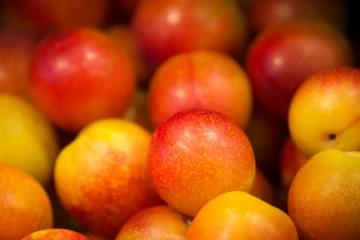 A 1,50 euro le kilo de prunes dorées et juteuses, le succès est immédiat. Mercredi, place de la Bastille à Paris, des tonnes de fruits et légumes vendus en direct par des producteurs du sud-ouest se sont arrachées.