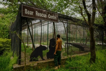 Un soigneur s'occupe des ours noirs d'Asie au centre de sauvetage de Margalla Wildlife, l'ancien parc zoologique d'Islamabad, le 27 mars 2024 au Pakistan