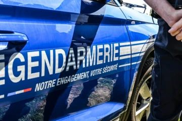 Une mère de famille qui a tué ses deux jeunes enfants, âgés de 9 mois et de deux ans et demi, a été arrêtée et placée en garde à vue mardi soir à Drouville, près de Nancy