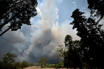 Un important feu de brousse à Balmoral, située à 150 kilomètres au  sud-ouest de Sydney en Australie, le 19 décembre 2019