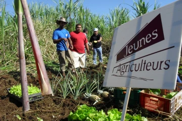 Samedi 19 juin 2010: Opération de sensibilisation à la préservation du foncier agricole par le syndicat des Jeunes Agriculteurs