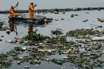 Débris flottant à l'entrée de la baie de Guanabara à Rio de Janeiro, le 20 juillet 2016