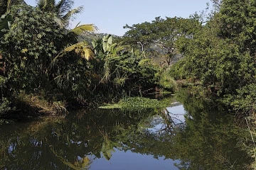 Etang Saint-Paul