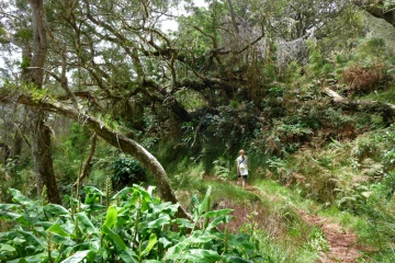 Sentier de la Roche Écrite (Photo Marie Trouvé)