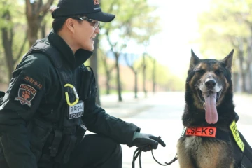 Larry, un chien policer tué par un serpent alors qu'il recherchait un disparu, sur une photo fournie le 29 août 2018 par la police sud-coréenne