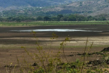 Des coquillages asséchés qui émergent du sol craquelé par le soleil : c'est tout ce qui reste de la lagune d'Atescatempa au Guatemala, autrefois vaste plan d'eau turquoise, victime du changement climatique.