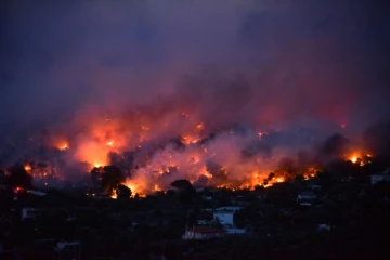 Un feu de forêt près d'Athènes, le 23 juillet 2018