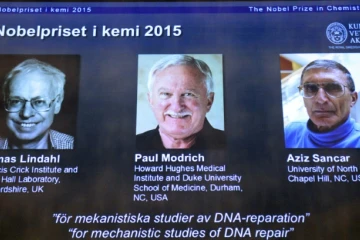 Les portraits des lauréats du prix Nobel de chimie, (de g à d) le Suédois Tomas Lindahl, l'Américain Paul Modrich et le Turco-Américain Aziz Sancar présentés sur un écran à l'Académie royale  des sciences le 7 octobre 2015 à Stockholm