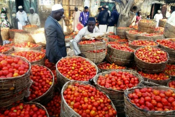 Le marché de légumes de Yankaba à Kano, au Nigeria, le 15 janvier 2016