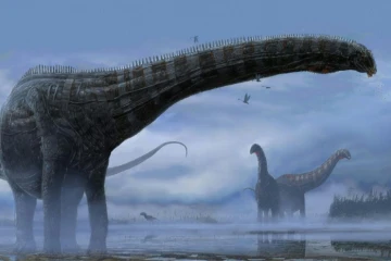 Illustration d'artiste d'un dinosaure sauropode, fournie le 11 février 2022 par la revue Scientific Reports 