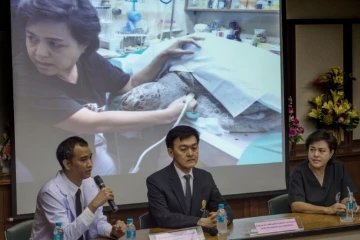Des vétérinaires expliquent les causes de la mort de la tortue "Tirelire", le 21 mars 2017 à Bangkok