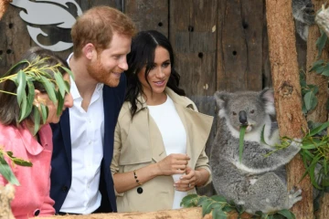 Le prince Harry et son épouse Meghan au zoo de Taronga, le 16 octobre 2018 à Sydney

