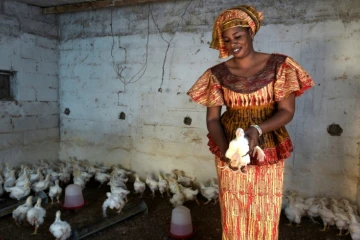 La Sénégalaise Ndèye Khari Pouye et son élevage de poulets, le 16 mars 2017 à Grand-Mbao