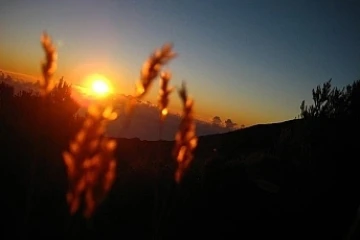 Lever de soleil (Photo Marie Trouvé)