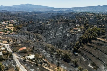 Vue aérienne de zones calcinées après un incendie de forêt à Varnavas, près d'Athènes, le 14 août 2024 en Grèce