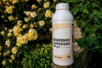 La France ne votera pas de prolongation du glyphosate au-delà de trois ans
