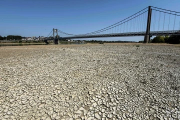 Une partie du lit de la Loire asséché, à Ancenis, le 11 août 2020