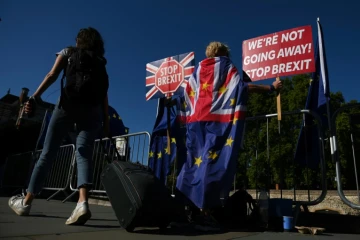 Manifestation anti-Brexit devant le Parlement britannique, le 29 août 2019