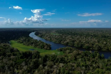 La forêt amazonienne dans l'Etat brésilien de l'Amazonas, le 28 juin 2018