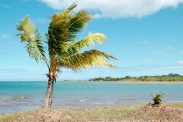 Une alerte au tsunami a été lancée