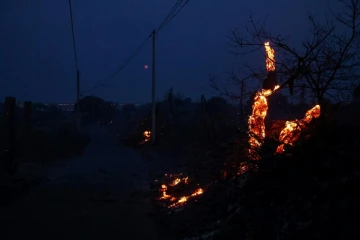 De la pinède gagnée par les flammes près de Frontignan, dans l'Hérault, le 18 août 2024 