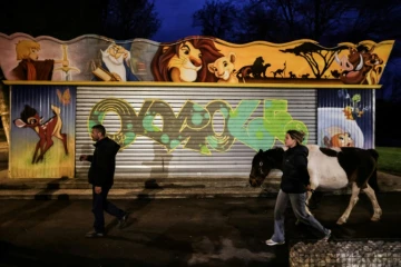 La ponette Syoux et sa propriétaire Marie Pési (d) en compagnie d'un homme sans domicile fixe, lors d'une maraude sociale à Angoulême, le 27 mars 2024