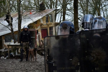 Des gendarmes essaient d'évacuer des zadistes du toit d'un squat à Notre-Dame-des-Landes, mardi 10 avril 2018   