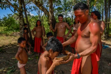 Un indien Waiapi donne à boire à un enfant du caxiri, une boisson fermentée artisanale, le 12 octobre 2017 dans la réserve Waiapi à Mainlha, au Brésil