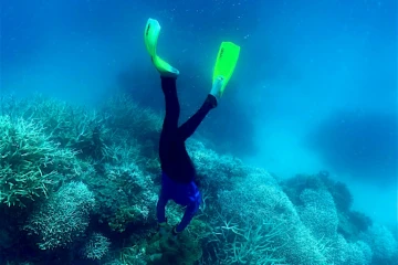 Un plongeur s'approche de la Grande barrière de corail en Australie, le 7 mars 2022