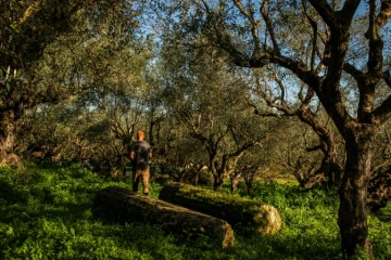 Nikos Argirakis dans son domaine d'Aghios Andreas, dans le sud-ouest du Péloponnèse, le 16 décembre 2020 en Grèce