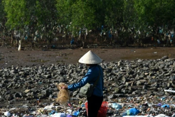 La mangrove recouverte de sacs plastiques dans la province vietnamienne de Than Hoa, le 15 mai 2018