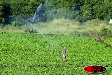 Terrain agricole