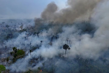 Incendie de forêt volontaire près de Labrea, en Amazonie brésilienne, le 4 septembre 2024