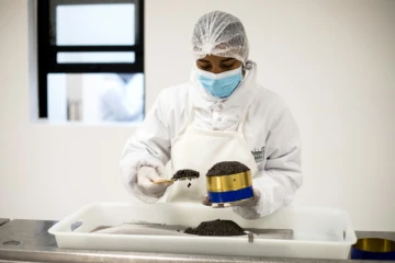 Une employée de Rova Caviar met en boite du caviar, le 4 juin 2019 à Mantasoa, à Madagascar 