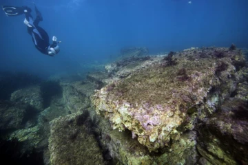 Lenaïc Riaudel, archéologue sous-marine,  nage près des ruines du site d'Olbia, près de la plage d'Almanarre à Hyères, le 28 novembre  2018