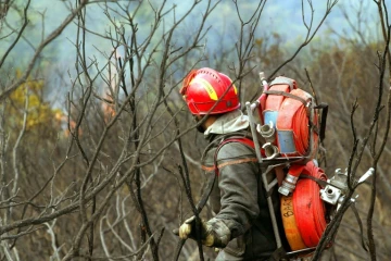 Un pompier le 1er septembre 2003 dans le massif des Maures