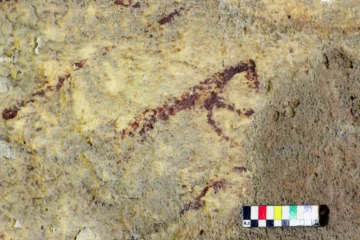 Photo fournie par l'université australienne de Griffith le 11 décembre 2019 montrant une scène de chasse préhistorique peinte il y a plus de 40.000 ans trouvée sur les parois d'une grotte du site de Leang Bulu Sipong, en Indonésie
