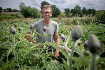 Le cultivateur Christian Bernard dans son champ d'artichauts, le 26 juin 2023 à Taulé, dans le Finistère