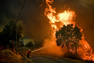 Incendie près du village portugais de Pucariça, le 10 août 2017