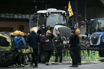 Des agriculteurs de la coordination rurale durant des manifestations contre l'accord UE-Mercosur, à Pessac le 19 novembre 2024