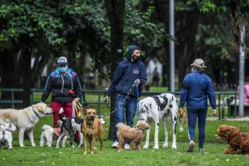 Des promeneurs de chiens dans un parc de Bogota le 16 février 2022