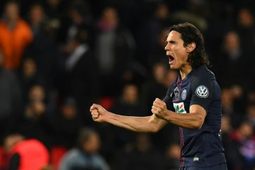 Le buteur du PSG Edinson Cavani, le 26 avril 2017 au Parc des Princes