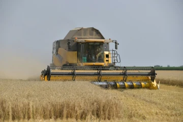 Trop de pluie et pas assez de soleil: le volume de blé produit en France pourrait être le plus faible depuis près de 40 ans